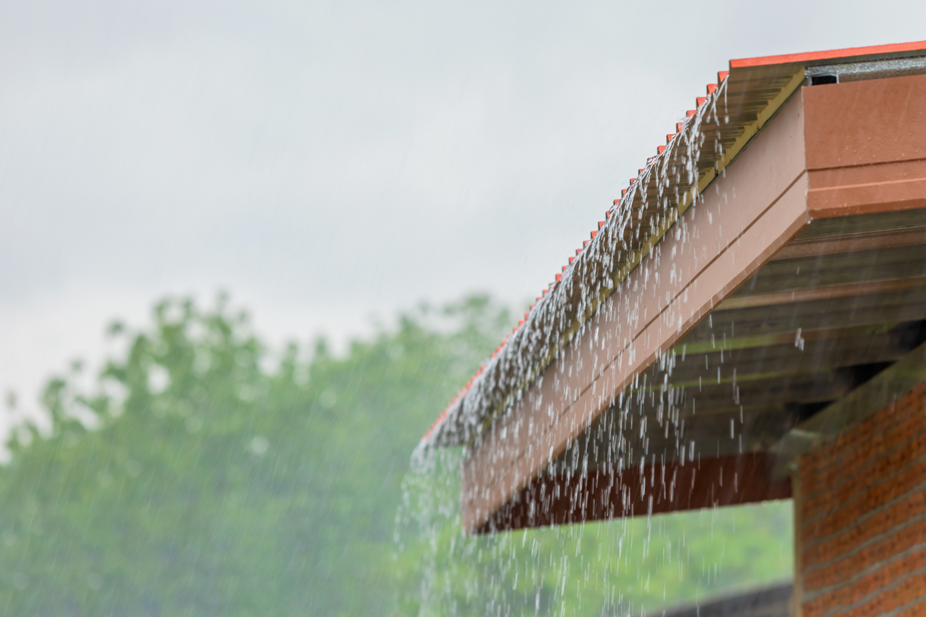 10 reasons why you should collect rainwater 